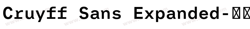 Cruyff Sans Expanded字体转换
